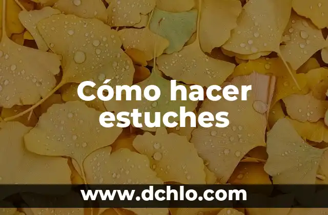 Cómo hacer estuches