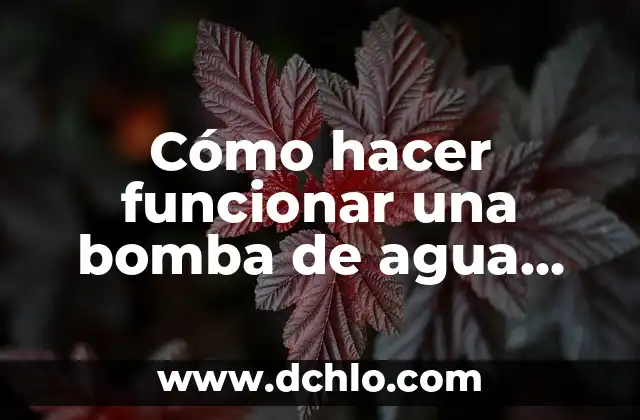 Significado de Se lo pasa bomba 4 Cómo hacer funcionar una bomba de agua con viento casera