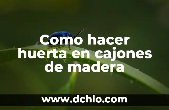 Como Hacer Corte Circular en Madera 7 Como hacer huerta en cajones de madera