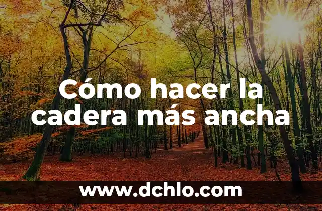 Internet de Banda Ancha: Conectando un Mundo Digital 6 Cómo hacer la cadera más ancha