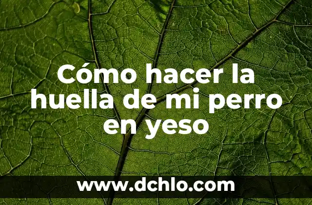 Huella de Carbono Significado Explicado 5 Cómo hacer la huella de mi perro en yeso