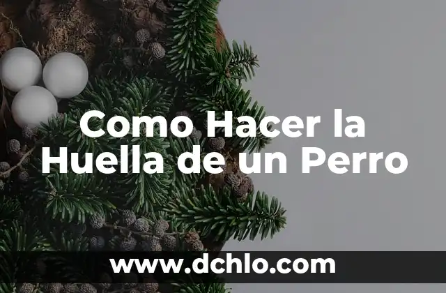 Huella de Carbono Significado Explicado 3 Como Hacer la Huella de un Perro