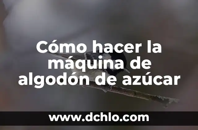 Cómo hacer una oveja con una botella y algodón 3 Cómo hacer la máquina de algodón de azúcar