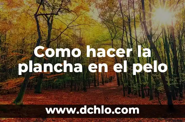 Cómo Planchar el Pelo Sin Plancha: Consejos y Técnicas Alternativas 4 Como hacer la plancha en el pelo