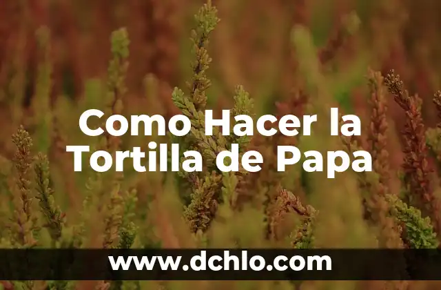 El Significado de la Tortilla 3 Como Hacer la Tortilla de Papa