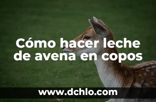 Cómo hacer galletas de avena sin azúcar ni mantequilla 3 Cómo hacer leche de avena en copos