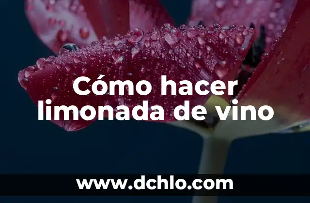 Cómo hacer caja para botella de vino 8 Cómo hacer limonada de vino