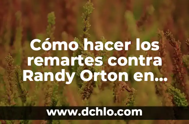 C贸mo hacer un traje de momia 6 C贸mo hacer los remartes contra Randy Orton en SVSRaw2011