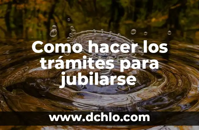 Como hacer trámites de DNI por internet 4 Como hacer los trámites para jubilarse