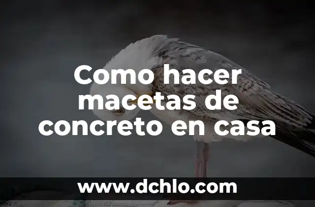 Como hacer acupresión en la muñeca 5 Como hacer macetas de concreto en casa