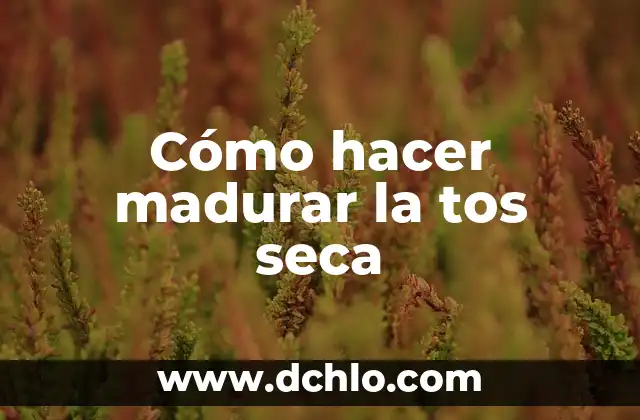 Cómo hacer la naranja para la tos 4 Cómo hacer madurar la tos seca