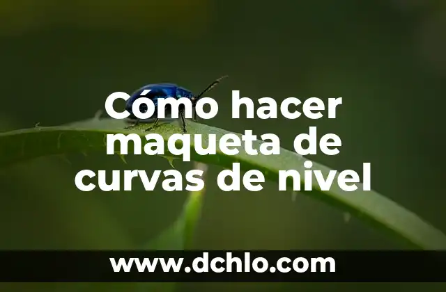 Hospital de Tercer Nivel Significado 3 Cómo hacer maqueta de curvas de nivel