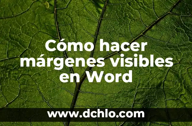 Cómo Hacer Cartas Modelo en Word 5 Cómo hacer márgenes visibles en Word
