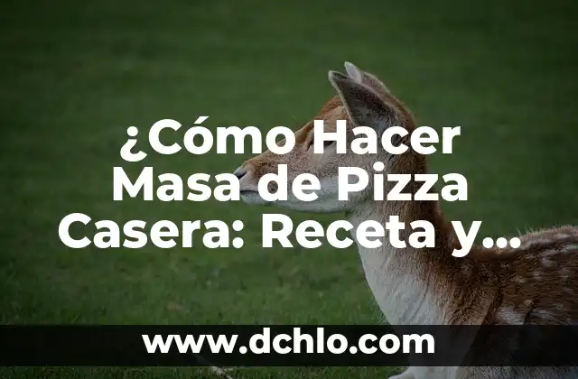 Cómo se hace la Fabada Asturiana: Receta Auténtica y Tradicional 3 ¿Cómo Hacer Masa de Pizza Casera: Receta y Técnicas para una Pizza Auténtica?