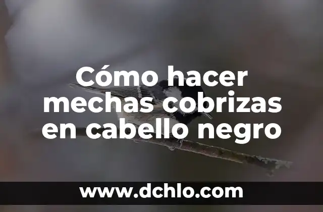 Cómo hacer mechas cobrizas en cabello negro