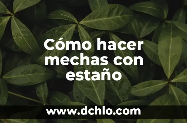 Cómo hacer mechas cobrizas en cabello negro 3 Cómo hacer mechas con estaño
