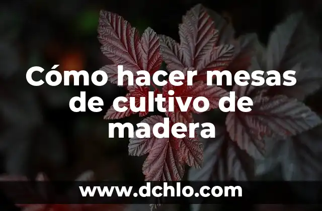 Cómo hacer una cejilla de madera para guitarra 3 Cómo hacer mesas de cultivo de madera