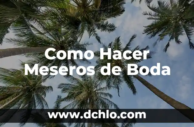 Vestidos para novias que se ponen encima de un mono para una boda tradicional y moderna 4 Como Hacer Meseros de Boda