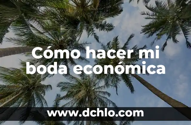 Vestidos para novias que se ponen encima de un mono para una boda tradicional y moderna 7 Cómo hacer mi boda económica