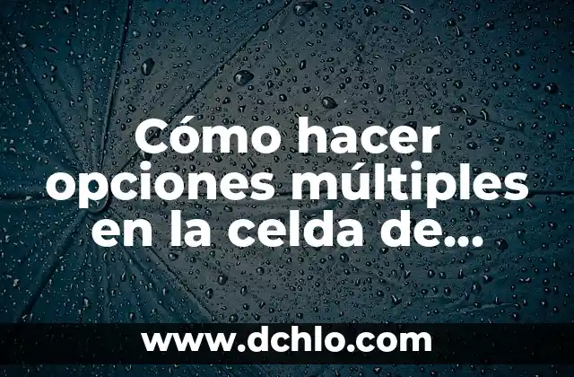 Cómo hacer opciones múltiples en la celda de Excel 8 Cómo hacer opciones múltiples en la celda de Excel