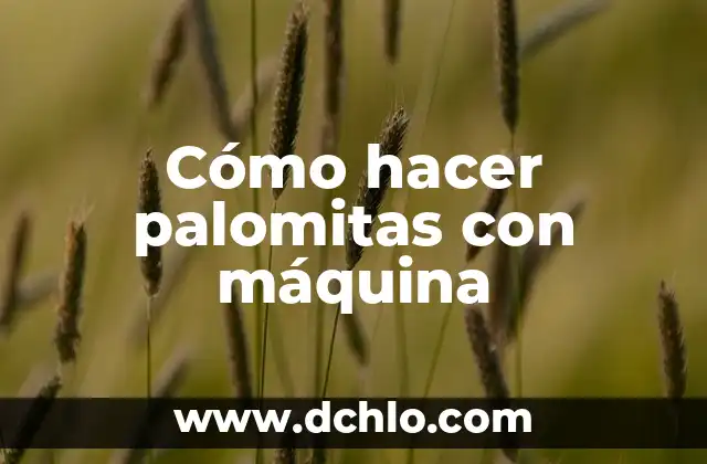 Cómo hacer palomitas con máquina 8 Cómo hacer palomitas con máquina