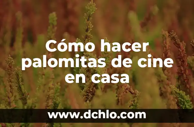 Cómo hacer palomitas con máquina 5 Cómo hacer palomitas de cine en casa