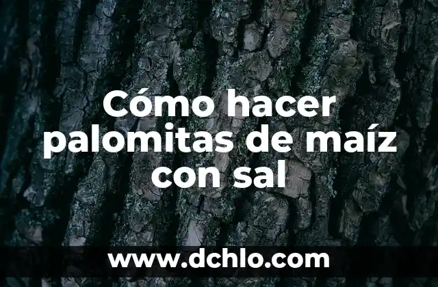 Cómo hacer palomitas con máquina 6 Cómo hacer palomitas de maíz con sal