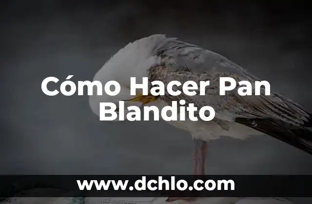 Cómo hacer una demanda civil por daños y perjuicios 8 Cómo Hacer Pan Blandito