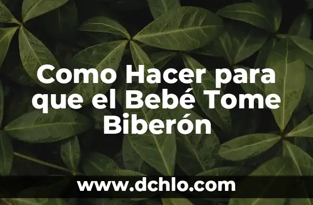 Como hacer que Excel tome los puntos como comas 3 Como Hacer para que el Bebé Tome Biberón