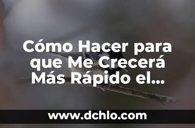 Cómo hacer que tu ordenador vaya más rápido 5 Cómo Hacer para que Me Crecerá Más Rápido el Cabello