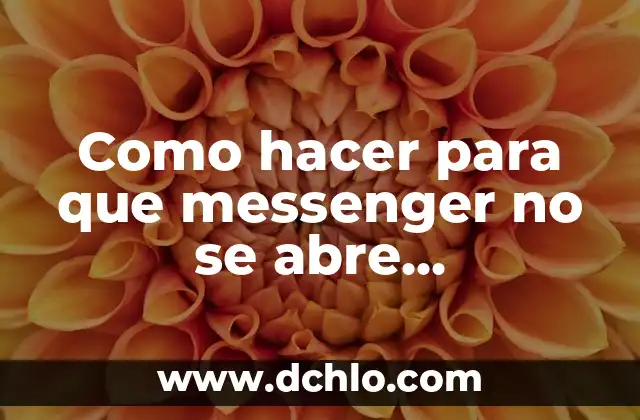 Como hacer que PowerPoint te corrija ortografía automáticamente 5 Como hacer para que messenger no se abre automáticamente