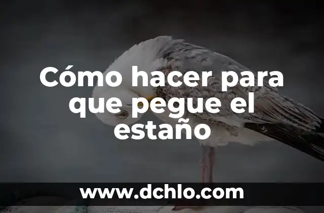 C贸mo hacer un traje de momia 5 C贸mo hacer para que pegue el esta帽o