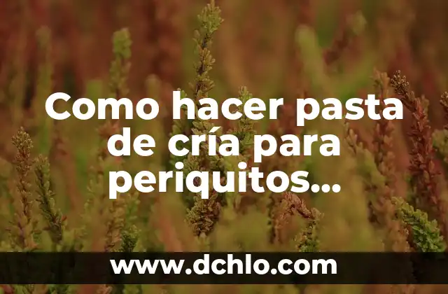 Cómo hacer tahini casero pasta de sésamo 7 Como hacer pasta de cría para periquitos australianos