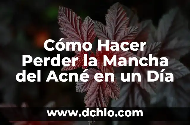 ¿Cuántos kilos se pierden al dejar el azúcar? Aprende a perder peso sin azúcar 8 Cómo Hacer Perder la Mancha del Acné en un Día