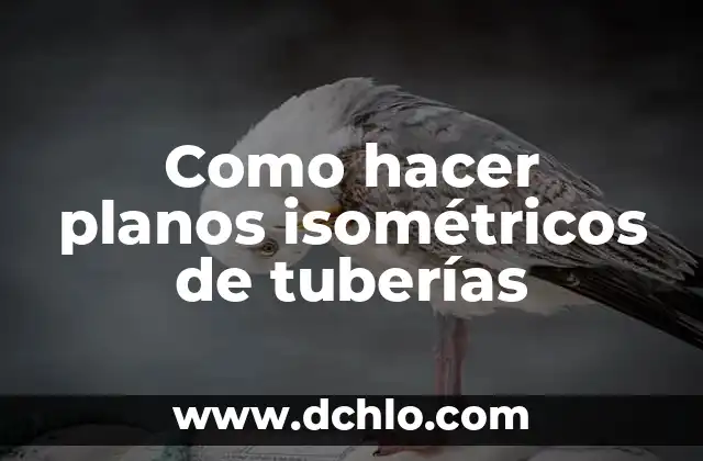 Como hacer planos isométricos de tuberías
