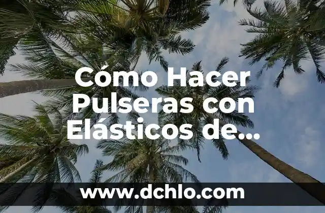 Cómo hacer una carrillera 3 Cómo Hacer Pulseras con Elásticos de Colores
