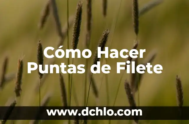 Como Hacer Caganer 7 Cómo Hacer Puntas de Filete
