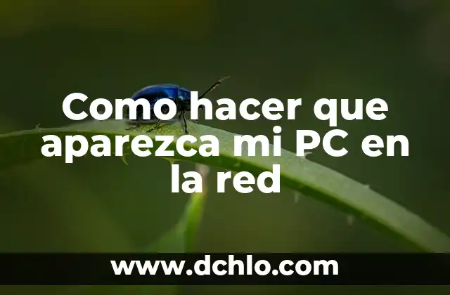 Cómo hacer oraciones en tema a mi ciudad 4 Como hacer que aparezca mi PC en la red