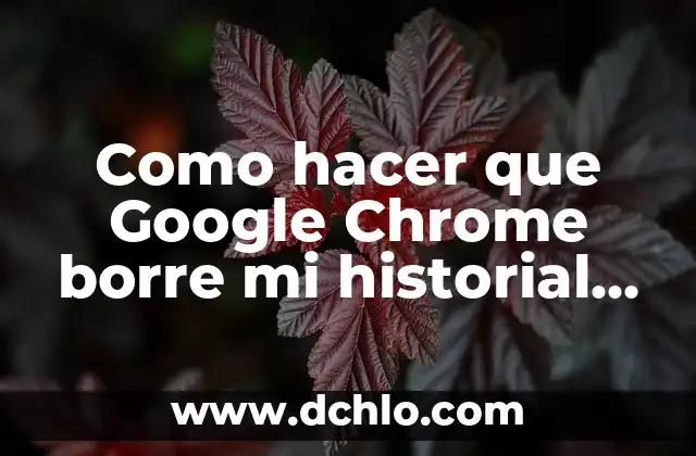 Como hacer que aparezca mi PC en la red 5 Como hacer que Google Chrome borre mi historial cada hora