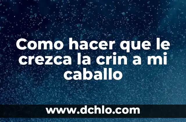 Significado del Caballo de Bastos 4 Como hacer que le crezca la crin a mi caballo