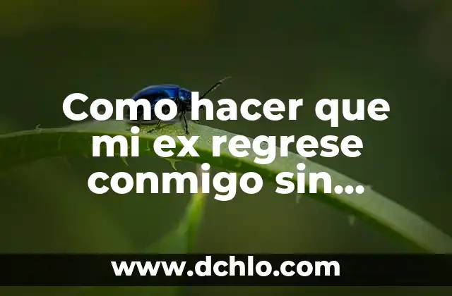 C贸mo hacer para reconquistar a mi ex 3 Como hacer que mi ex regrese conmigo sin rogarle