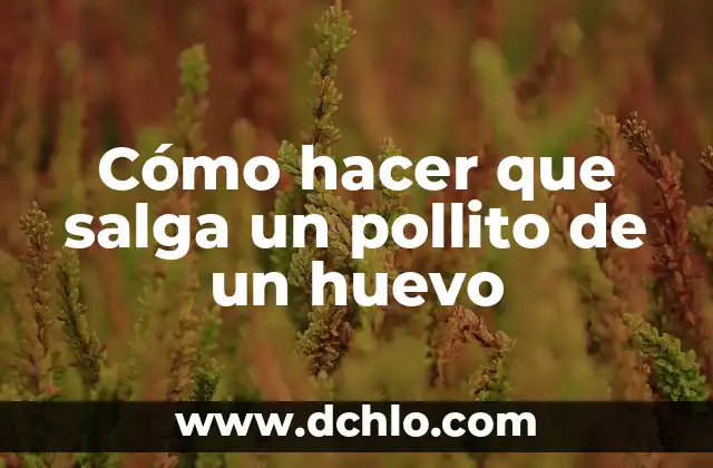 Cómo hacer que te salga más barba 6 Cómo hacer que salga un pollito de un huevo