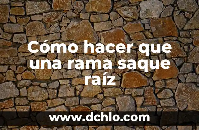 C贸mo hacer encajes de bolillos 7 C贸mo hacer que una rama saque ra铆z
