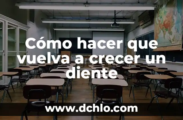 Cómo hacer crecer las cejas rápidamente remedios caseros 4 Cómo hacer que vuelva a crecer un diente