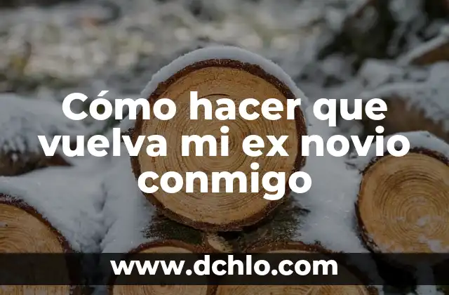 C贸mo hacer para reconquistar a mi ex 6 C贸mo hacer que vuelva mi ex novio conmigo