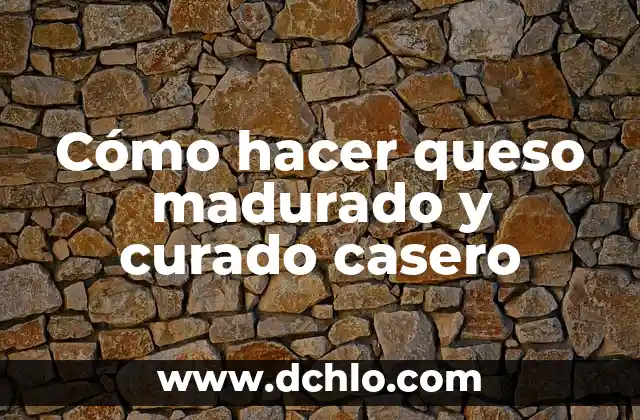 Cómo hacer hojas en foami 5 Cómo hacer queso madurado y curado casero
