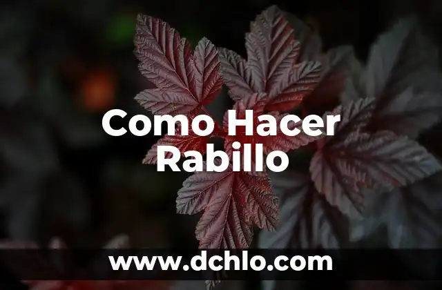 Cómo hacer un romboedro 8 Como Hacer Rabillo