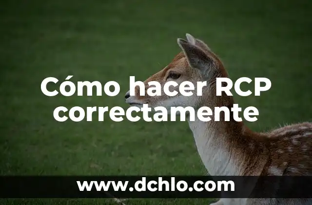 Significado de SEM en RCP Básico 3 Cómo hacer RCP correctamente