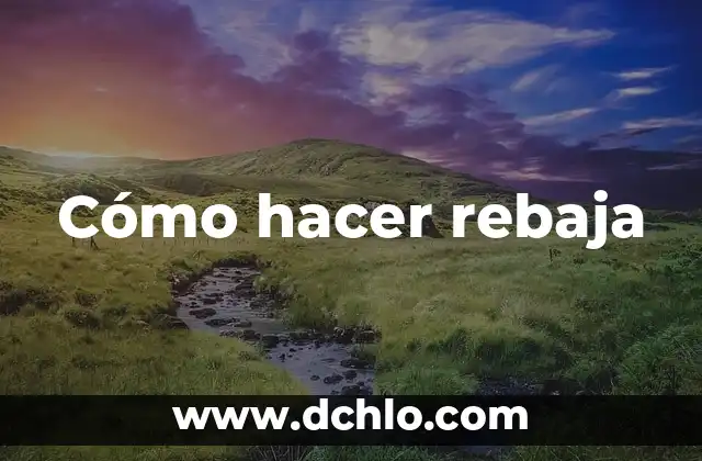 Cómo hacer rebaja