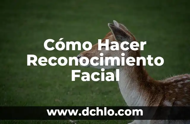 ¿Qué Es el Reconocimiento? 6 Cómo Hacer Reconocimiento Facial